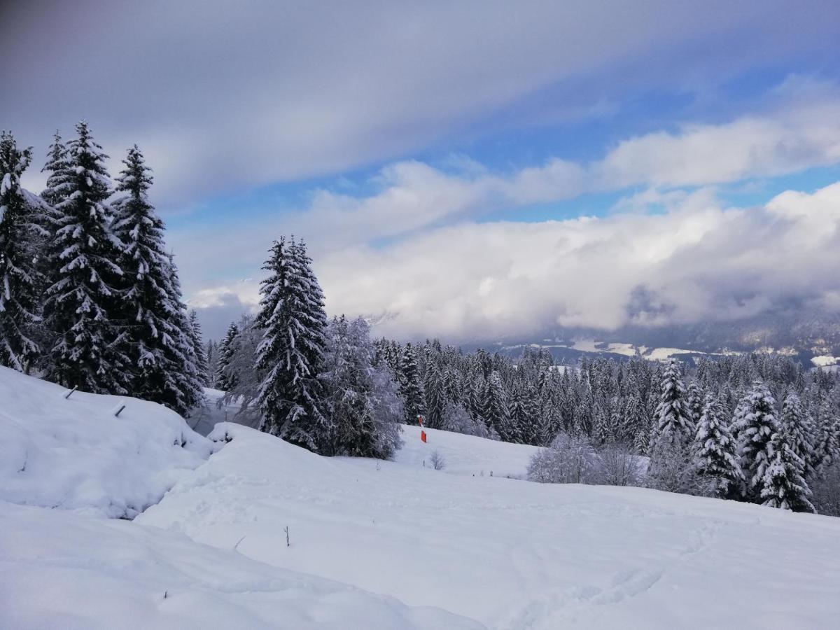 Ferienwohnung Mit Blick Auf Die Buchensteinwand Hochfilzen Kültér fotó